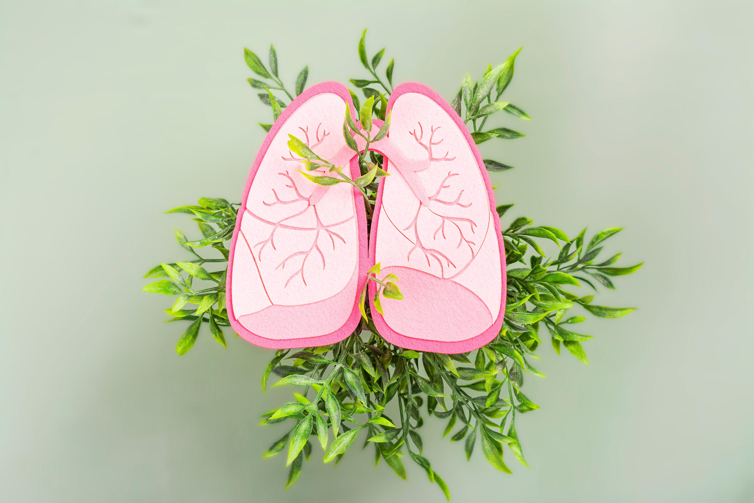 TBC elleni küzdelem világnapja