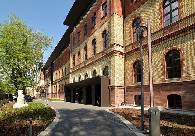 Hazai egészségügyi szervek